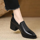Women's Pointed Toe Leather Loafers With Chunky Heels – Casual Shoes